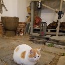 백야해안길 이미지