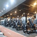 스마일피티 이미지