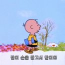 아이엔지여행그룹 | 데이트일기