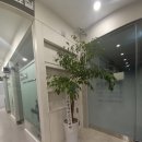 포승튼튼의원 이미지