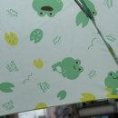 최부걸 | is a dollar 하였눈냐 is a zoo길 바란눈냐