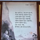 예천 회룡포(비룡산) 금계국 축제 이미지