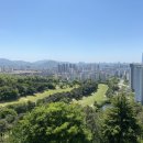 캐슬렉스서울GC