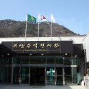성불산자연휴양림 Daum카페