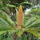 저청중학교 이미지