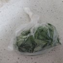 박순달 아구찜 이미지