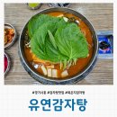 유연감자탕 | [경기 시흥] 정왕동 감자탕 맛집 '유연감자탕' 내돈내산 솔직후기