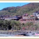 섬진강 솔밭이 보이는 풍경 이미지