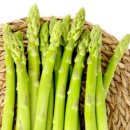 제이짐휘트니스 이미지