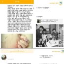 수르 이미지