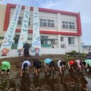 한동초등학교 이미지