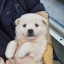 화상천로 이미지