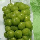 감사한농장 이미지