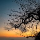 한밤실마을 | ​[영주여행] 소백산 힐링 성지! 🍏사과 따기부터 펜션 숙박까지, 한밤실마을 농촌체험 1박 2일 솔직 후기!