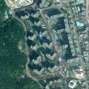 숲속다원유치원 이미지