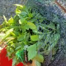 계선농장 이미지