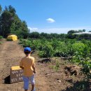 상선농장 이미지