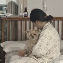 피크닉김밥천국 이미지