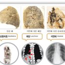 광령초등학교 병설유치원 이미지