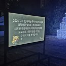 장자길 | 2025 장자호수공원 빛축제 후기, 구리 야경 명소