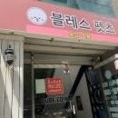 블레스펫츠 이미지