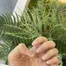 (주) 모터원 의정부지점 | [경기/의정부] 의정부 네일아트 의정부역 네일샵 ‘공간 네일‘ - 봄 느낌 물씬 버터색 원컬러 네일 후기