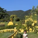 주식회사 노랑버덩F&B | 거제 바람의 핫도그 본점 포토존 노랑버덩 아이랑 여행