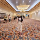 알로에테마파크 | [마카오 호텔 추천] 베네치안 마카오 완벽 투숙기: 객실 가격, 수영장, 곤돌라 이용 팁까지 (아이 동반...