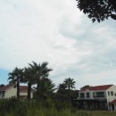 야자수펜션 이미지