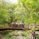 솔바람교 옹달샘 이미지