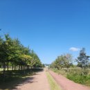 금오게이트볼장 이미지