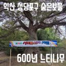 성당포구 | 전북 익산 성당포구마을 숨은보물2 600년 느티나무