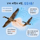 아름다운수학학원 - 수원시 장안구 경수대로 940 | 아름다운수학학원
