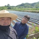 서대리농장 이미지