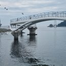 송도선원 티스토리