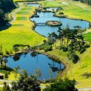 CC비젼스크린골프 이미지