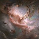 스타게임 이미지