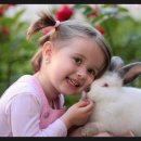 경희 복싱체육관 이미지