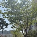 OK 부동산 공인중개사사무소 | 수원 화서역 파크 푸르지오 아파트84A타입, 드디어 최고가 달성