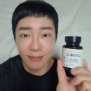 정있는 식품 | 뱃살빼는보조제 다이톡스 올리스정 고지방컷팅제 후기
