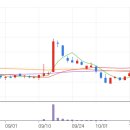 세종네트웍스 이미지