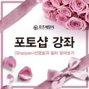 포토샵 강좌-{(Sharpen)선명효과 필터 알아보기 이미지