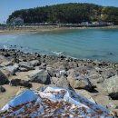 무창포 신비의바닷길 해루질(2025.4,26~4.28) 이미지