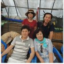 금보농장 이미지