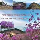 대금산진달래길(트레킹) | 거제 대금산-망월산 진달래 산행(2025.03.31)
