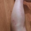 대산 태권도장 이미지