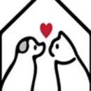 오도독캣 이미지