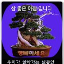 건강한오늘하루