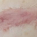 연세화랑의원 이미지