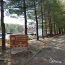 지석리 지석묘 | 4.9 마실-이천시립박물관 (이천여행, 이천볼거리, 무료입장)